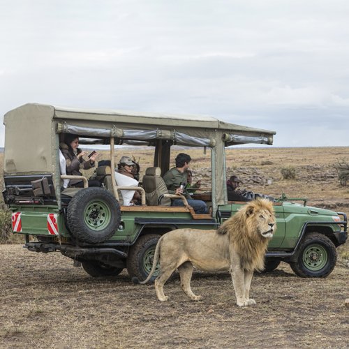 listing-details-carousel